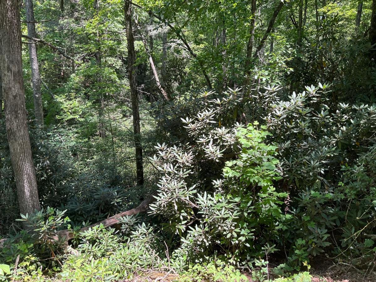 Tallulah Gorge Retreat Lakemont Exterior photo